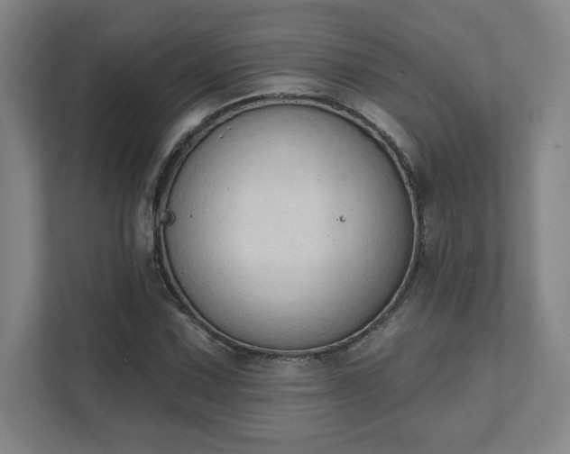 X0000111441067200907201124