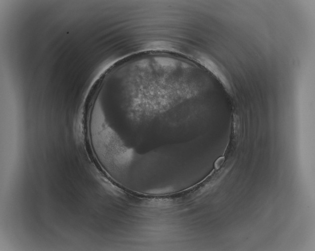 X0000111441068200907201124