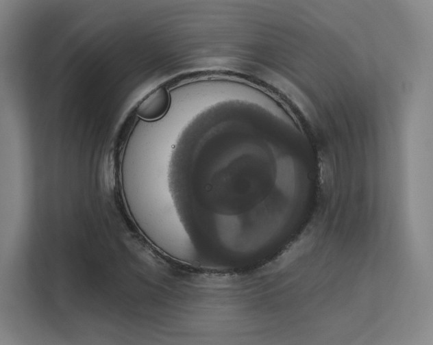 X0000111441069200907201124