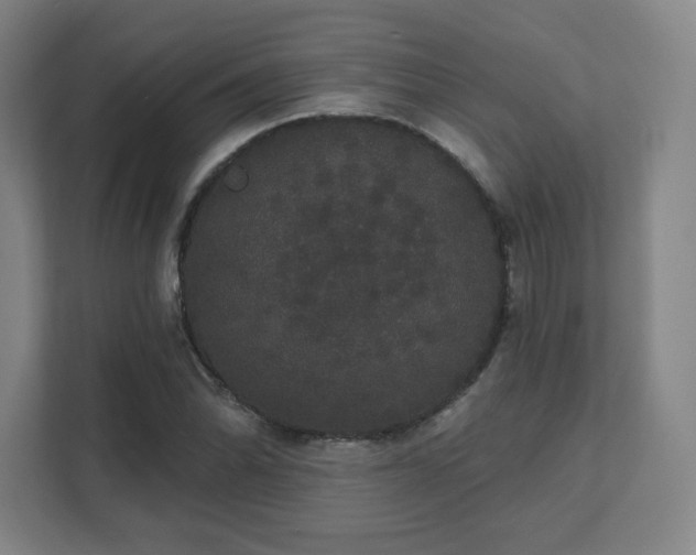 X0000111441070200907201124