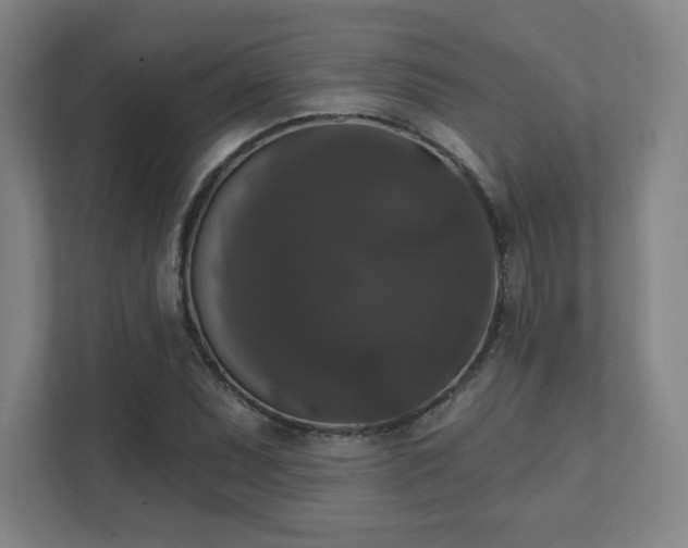 X0000111441071200907201124