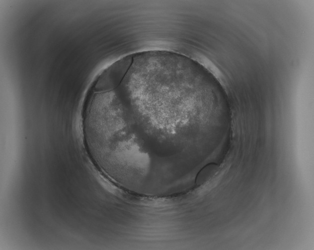 X0000111441072200907201124