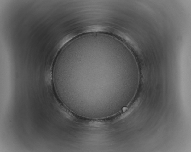 X0000111441073200907201124
