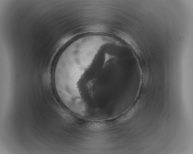 X0000111441074200907201124