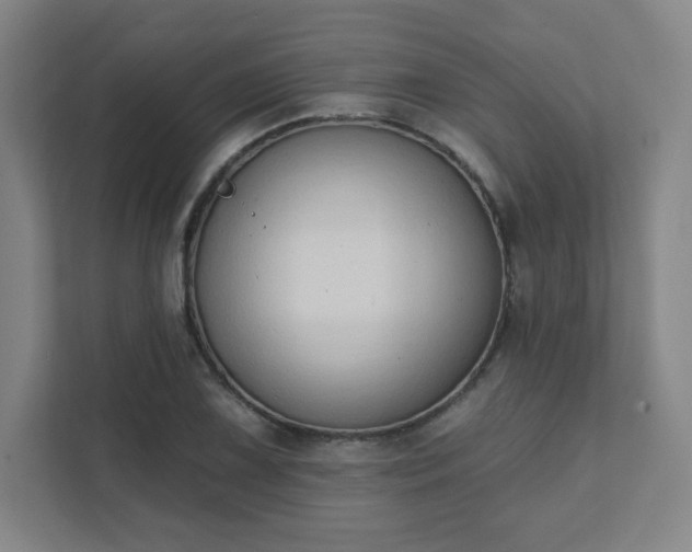 X0000111441075200907201124