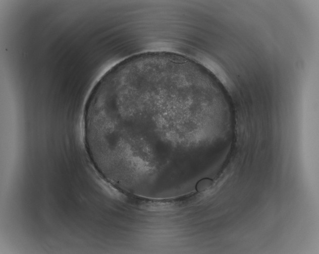X0000111441076200907201124