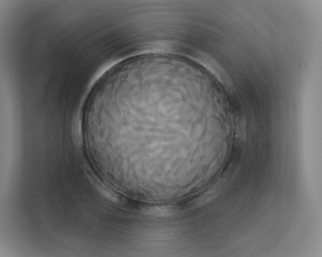 X0000111441078200907201124