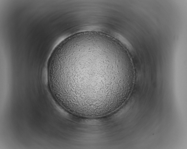 X0000111441079200907201124