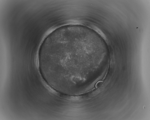 X0000111441080200907201124