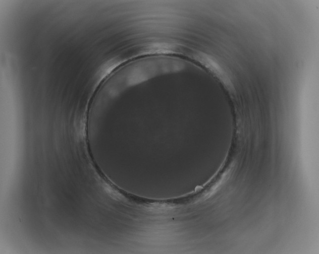 X0000111441081200907201124