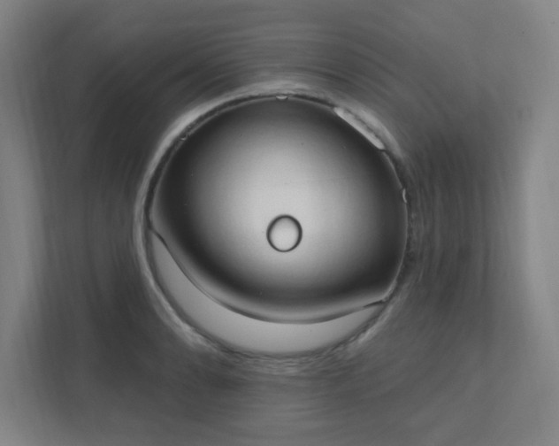X0000111441086200907201124