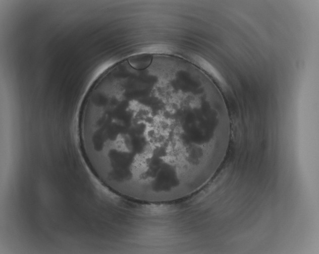X0000111441087200907201124