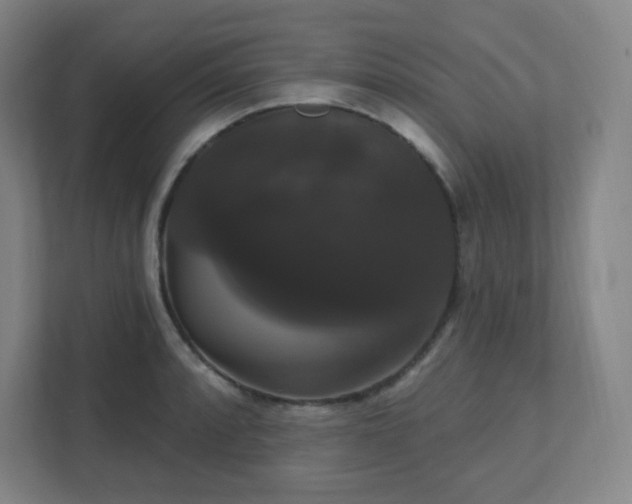 X0000111441088200907201124