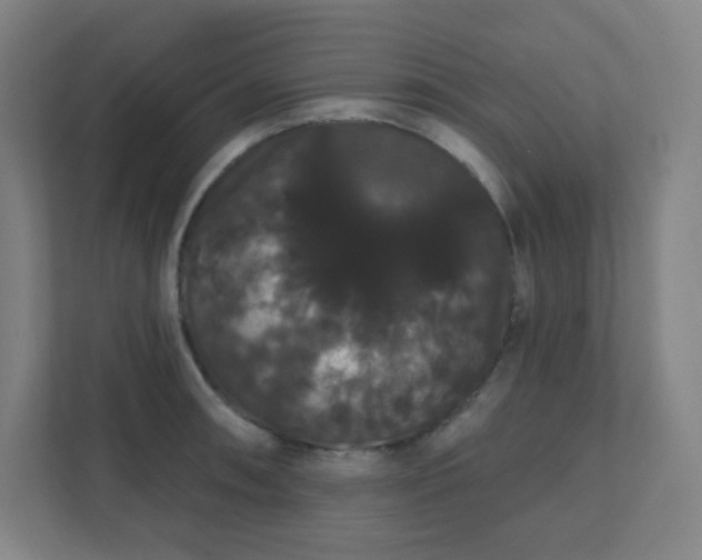X0000111441090200907201124