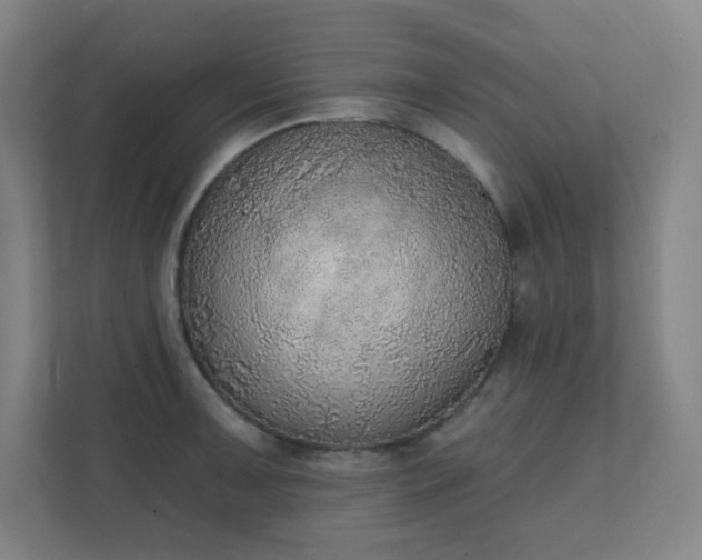 X0000111441091200907201124