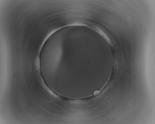 X0000111441092200907201124