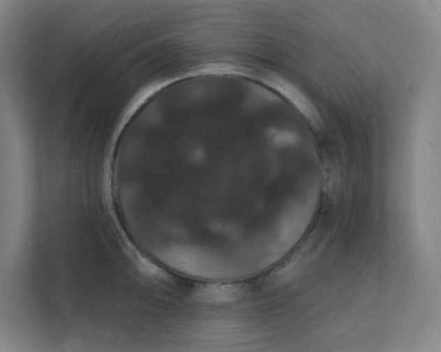 X0000111441094200907201124