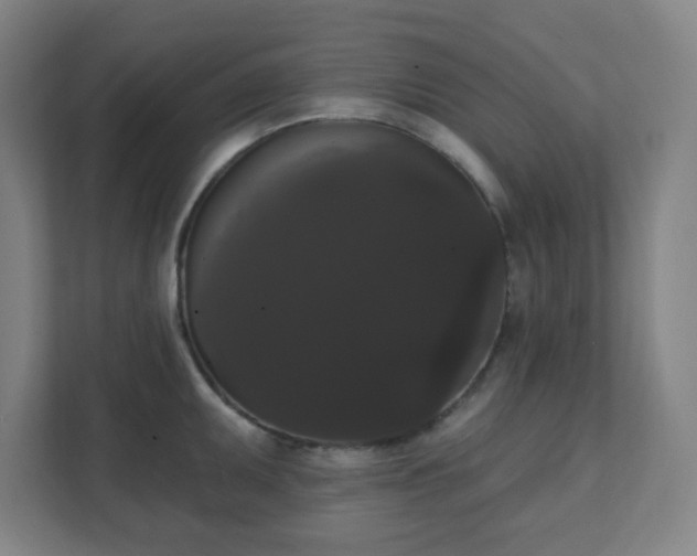 X0000111441095200907201124