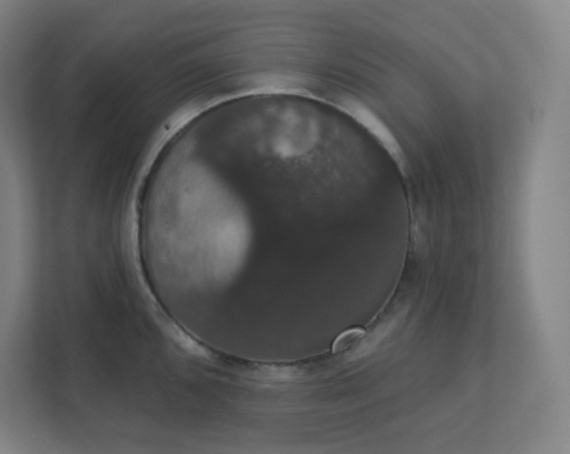 X0000111441096200907201123