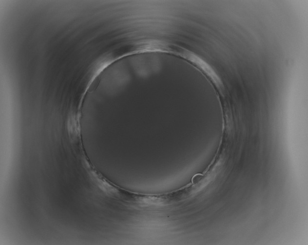 X0000111441097200907201123