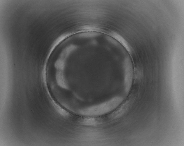 X0000111441098200907201123