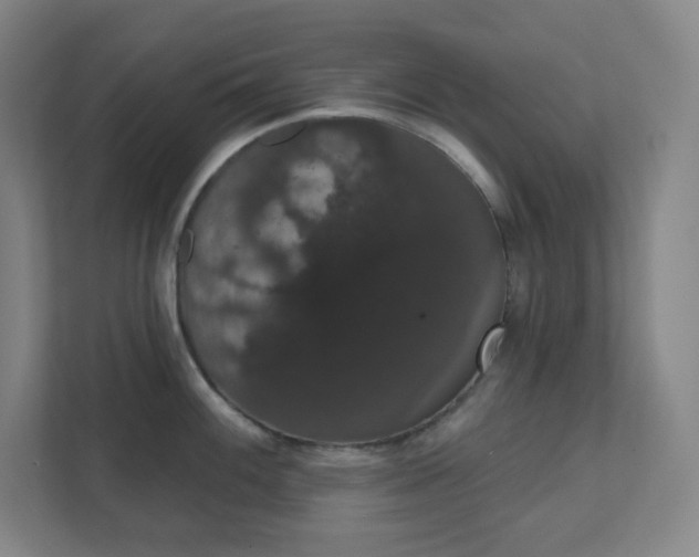 X0000111441100200907201123