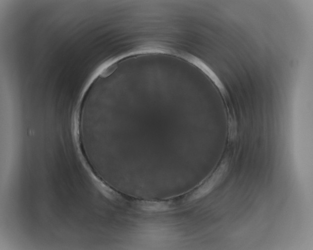 X0000111441101200907201123