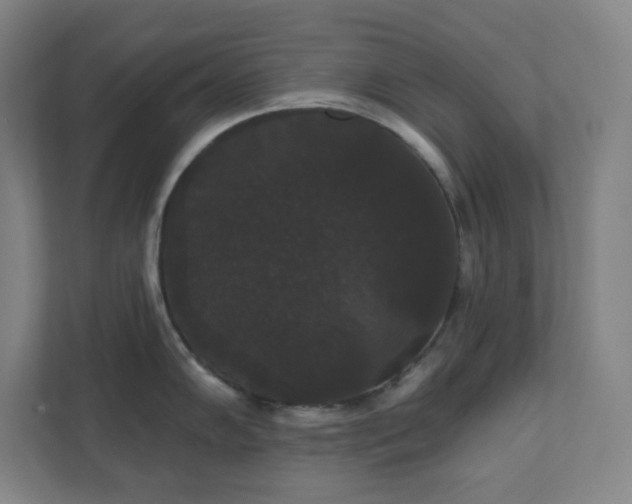 X0000111441102200907201123