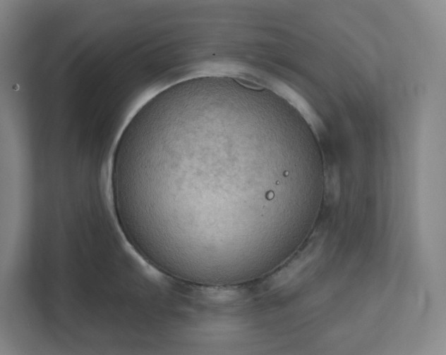 X0000111441103200907201123