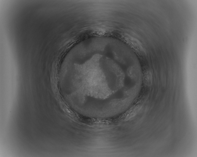X0000111441105200907201123