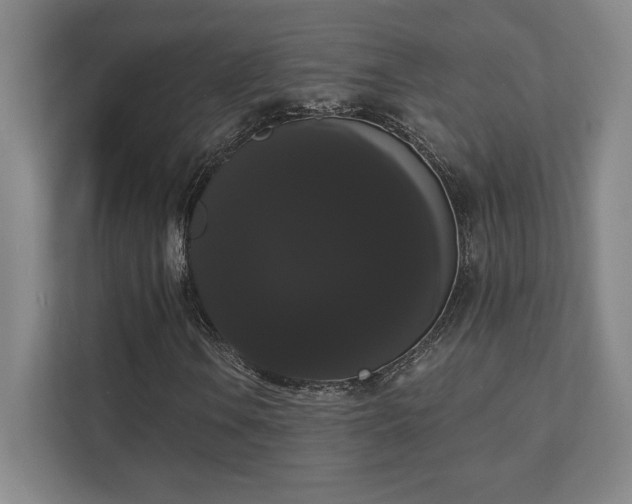 X0000111441106200907201123