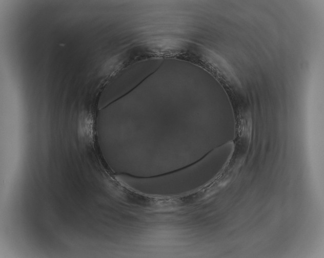 X0000111441108200907201123