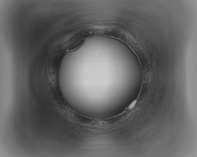 X0000111441109200907201123