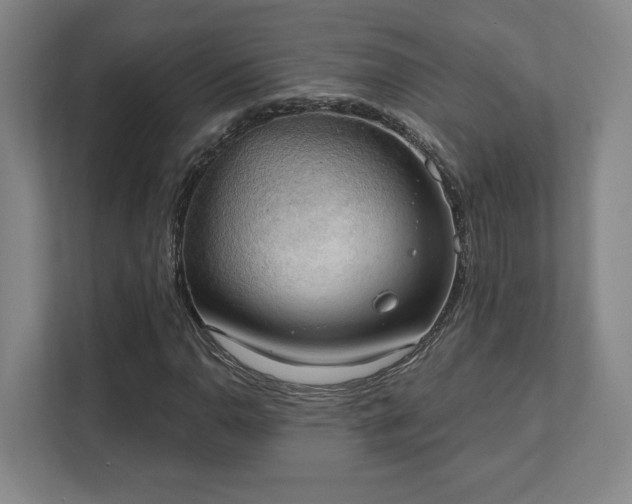 X0000111441110200907201123