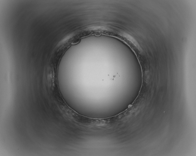 X0000111441111200907201123
