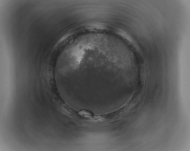 X0000111441112200907201123