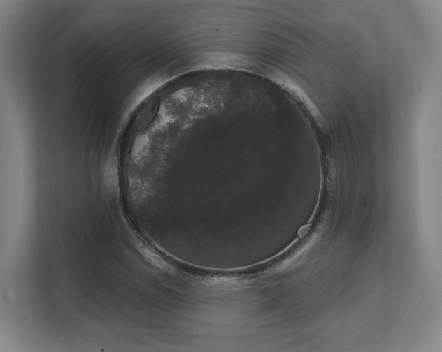 X0000111441114200907201123
