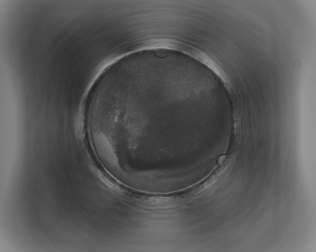 X0000111441116200907201123