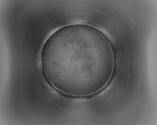 X0000111441118200907201123
