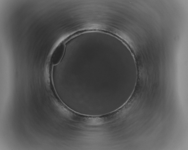 X0000111441120200907201123