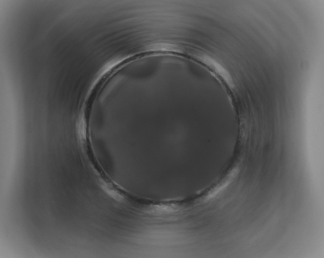 X0000111441125200907201123
