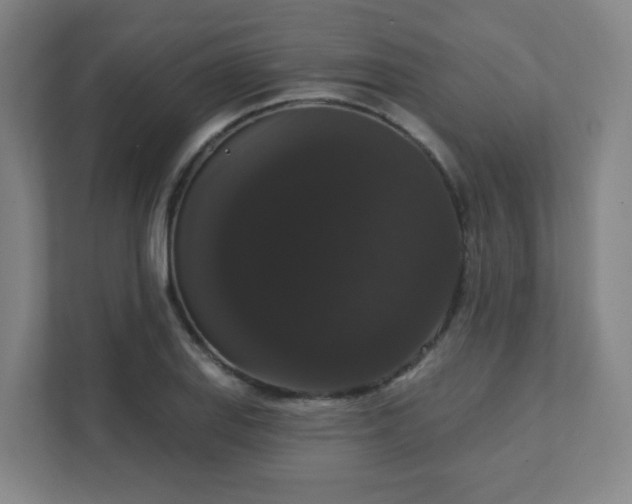X0000111441127200907201123