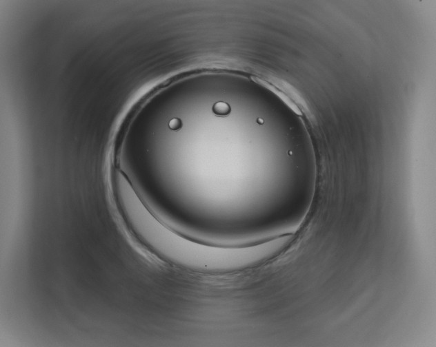 X0000111441128200907201123