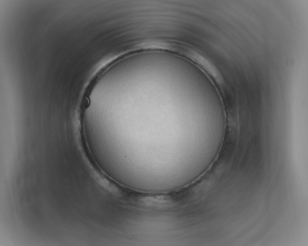 X0000111441133200907201123