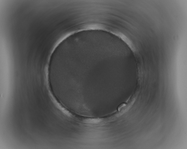 X0000111441134200907201123