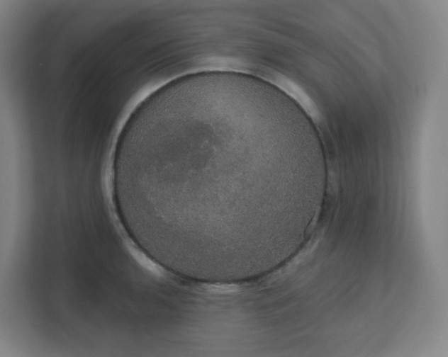 X0000111441136200907201123