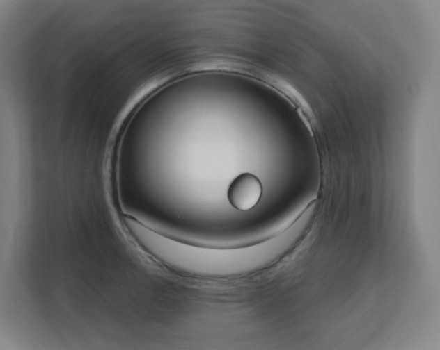 X0000111441138200907201123