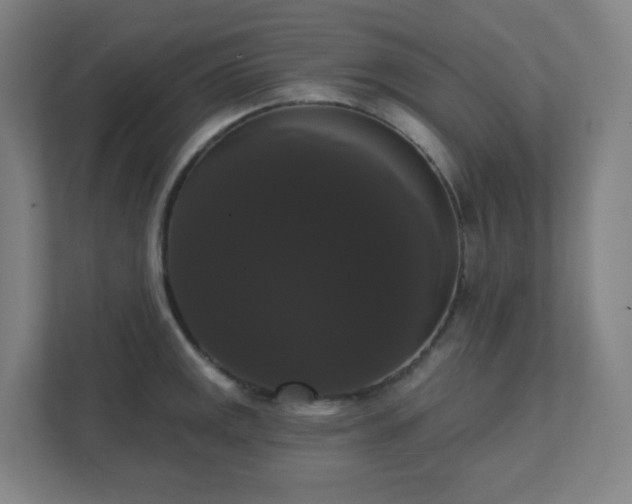 X0000111441141200907201123