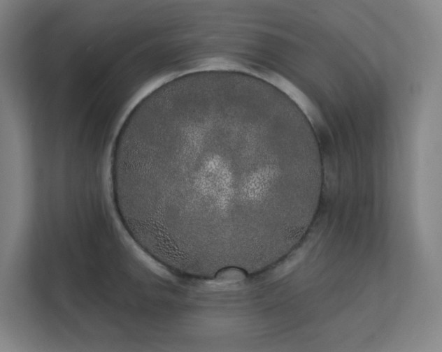 X0000111441142200907201123