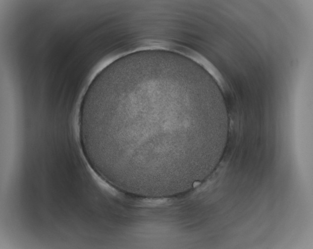 X0000111441143200907201123